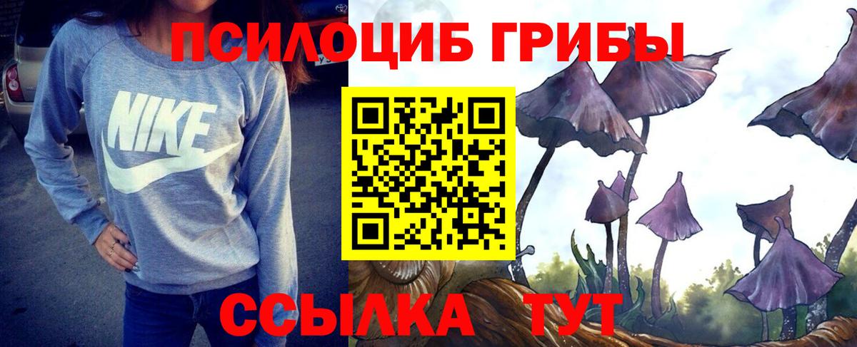 Серов  Псилоцибиновые грибы Magic Shrooms  Вход с VPN 