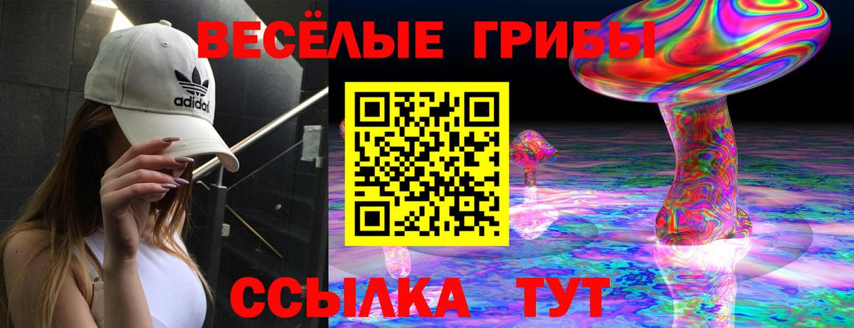 Псилоцибиновые грибы GOLDEN TEACHER Серов